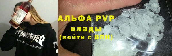 гашик Пестово