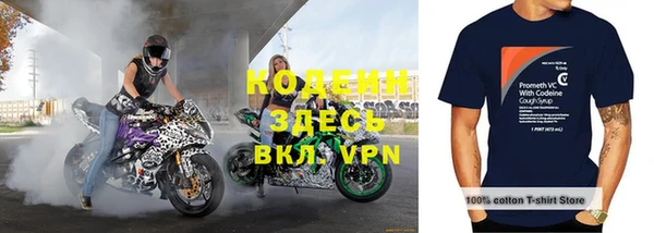 2c-b Каменка