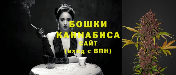 гашик Пестово