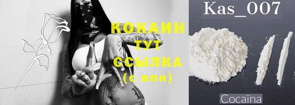 2c-b Каменка
