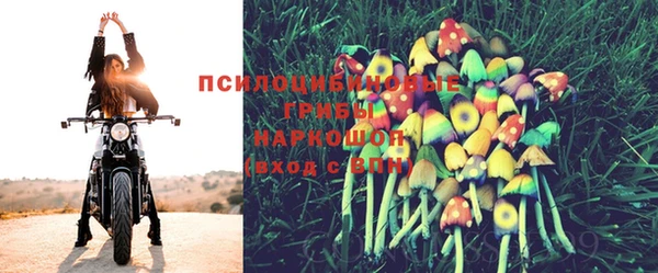 гашик Пестово